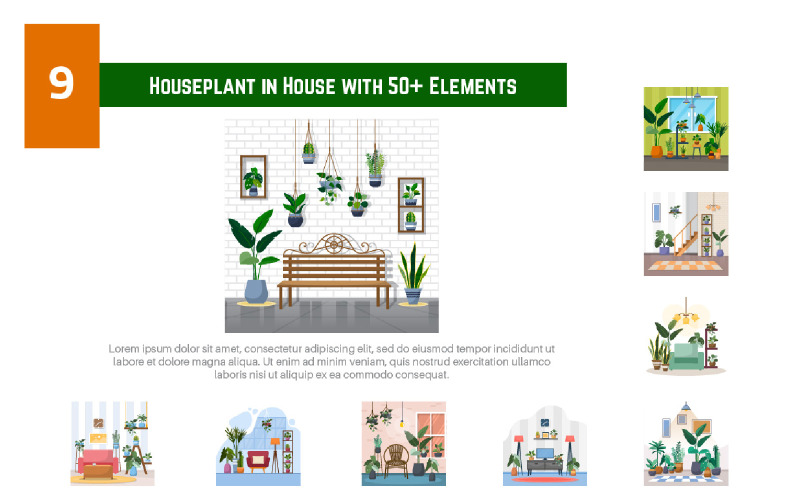 9 Planta de interior en casa con más de 50 elementos - Ilustración