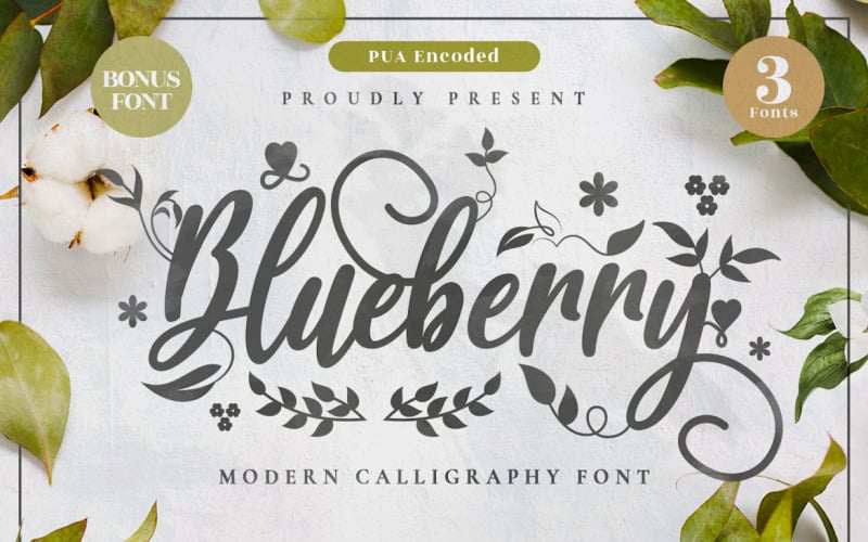 Blueberry - nowoczesna czcionka kaligrafii