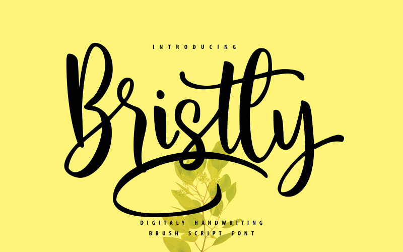 Bristly | Police cursive du pinceau d'écriture manuscrite