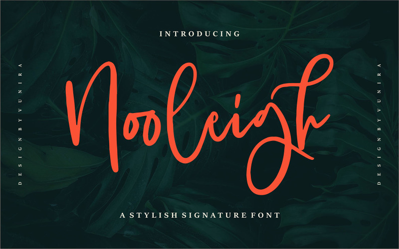 Nooleigh | Ett snyggt typsnitt