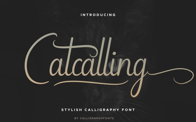 Catcalling Script-Schriftart