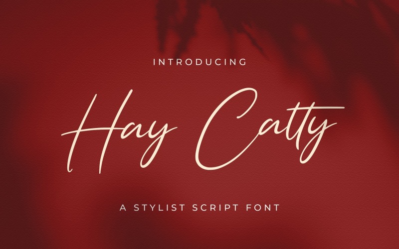 Hay Catty - fonte manuscrita