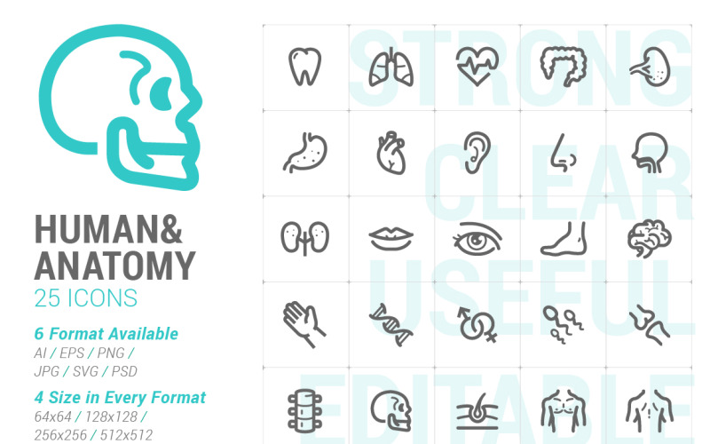 Людина та анатомія Mini Iconset шаблон