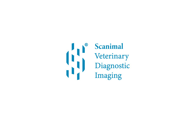 Medical Imaging Logo Template