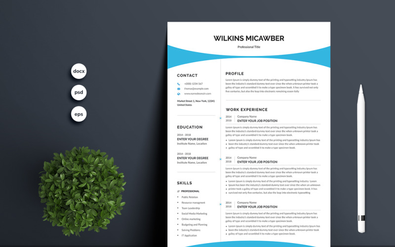 Wilkins Micawber Resume CV Template