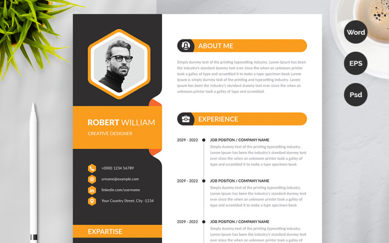 Modello di curriculum moderno di Robert William