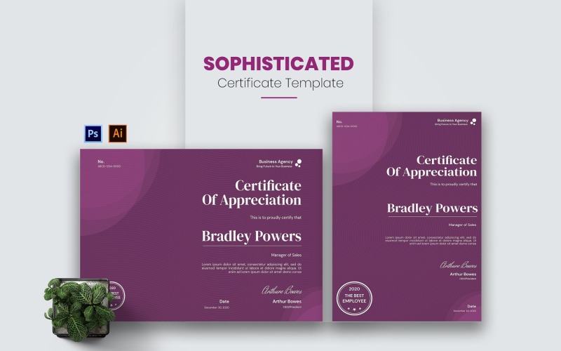Modèle de certificat d'entreprise sophistiqué