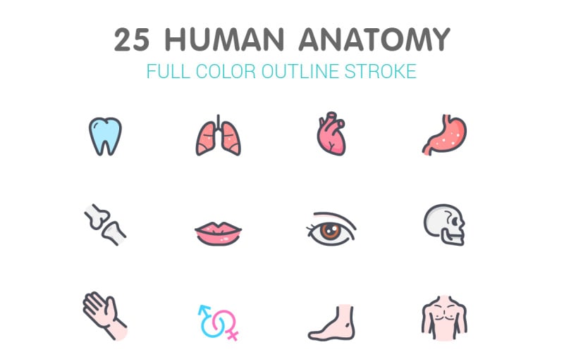 Ligne d & # 39; anatomie humaine avec modèle de jeu d & # 39; icônes de couleur