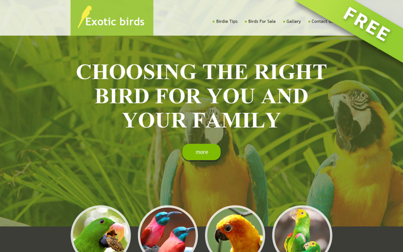 Бесплатный шаблон Exotic Birds Muse с галереей