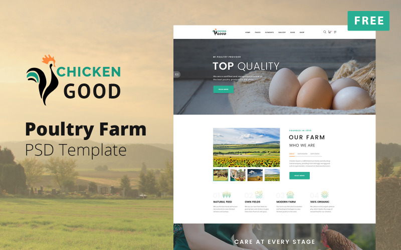鸡肉好-免费的家禽农场设计布局PSD模板