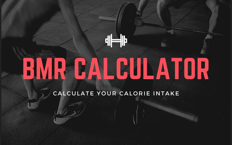 Basal Metabolic Rate (BMR) Calculator WordPress Plugin