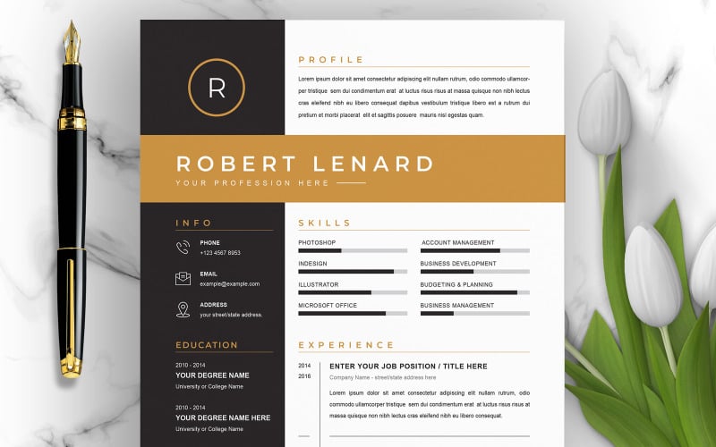 Robert / CV Template Modelos de currículo para impressão