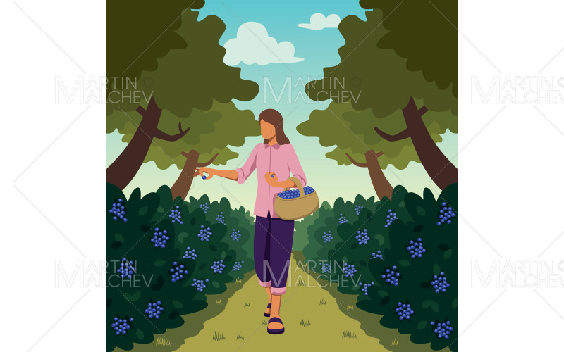 Ilustración de Vector de recolección de frutas del bosque