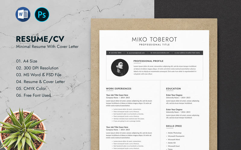 Conception de modèle de CV minimal de Miko Toberot