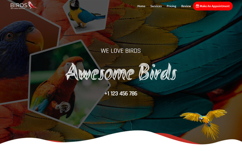 Birds Website Templates - 42 Best Birds Web Themes