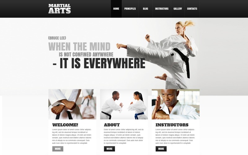 Dövüş Sanatları Web Sitesi için Ücretsiz WordPress Şablonu