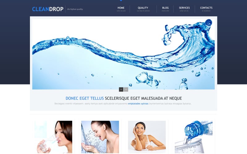 Free Water Responsive WordPress Website