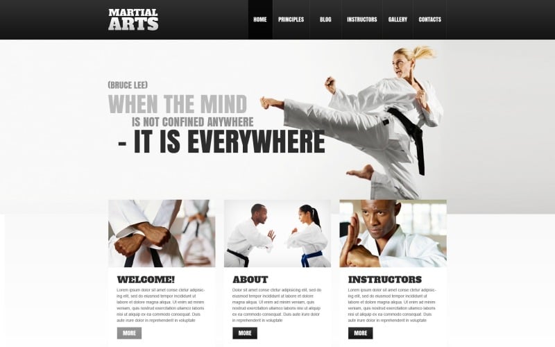 Free WordPress Template for Martial Arts Website