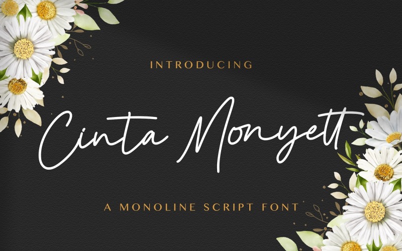 Cinta Monyett - 手写字体