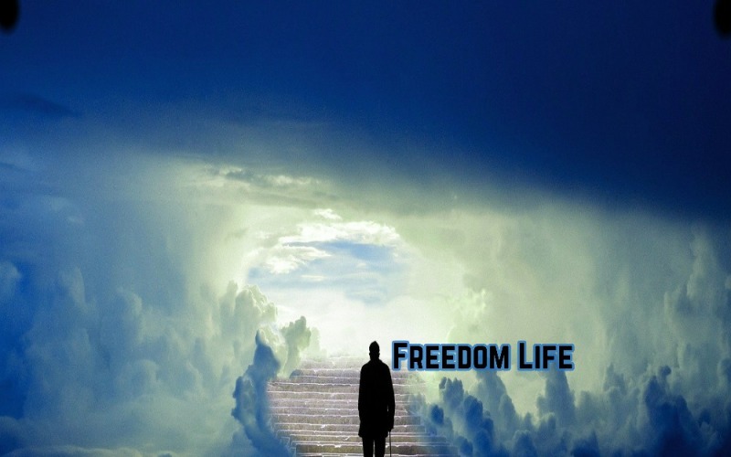 Freedom Life - вдохновляющая стоковая музыка в стиле RnB (влог, мирный, спокойный, модный)