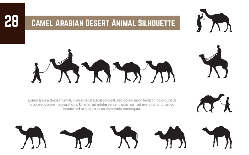 28 Kamel arabische Wüstentiersilhouette
