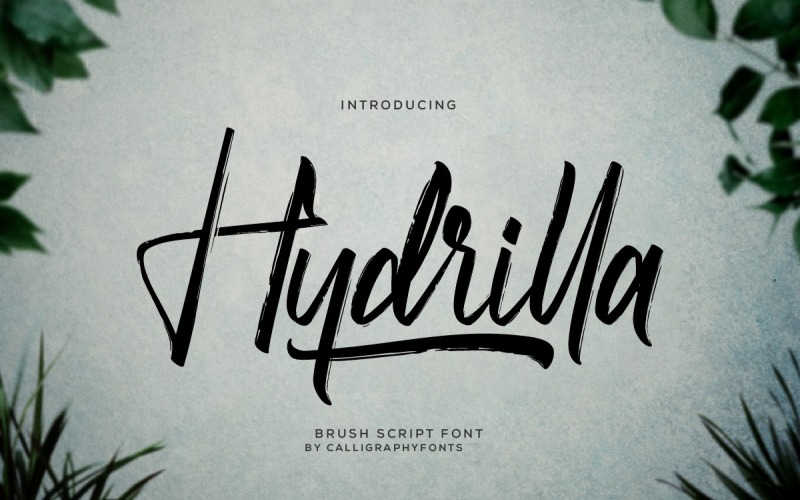 Písmo štětce s texturou Hydrilla