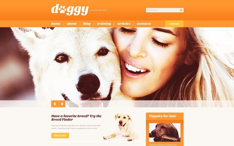 Бесплатная адаптивная тема WordPress для собак