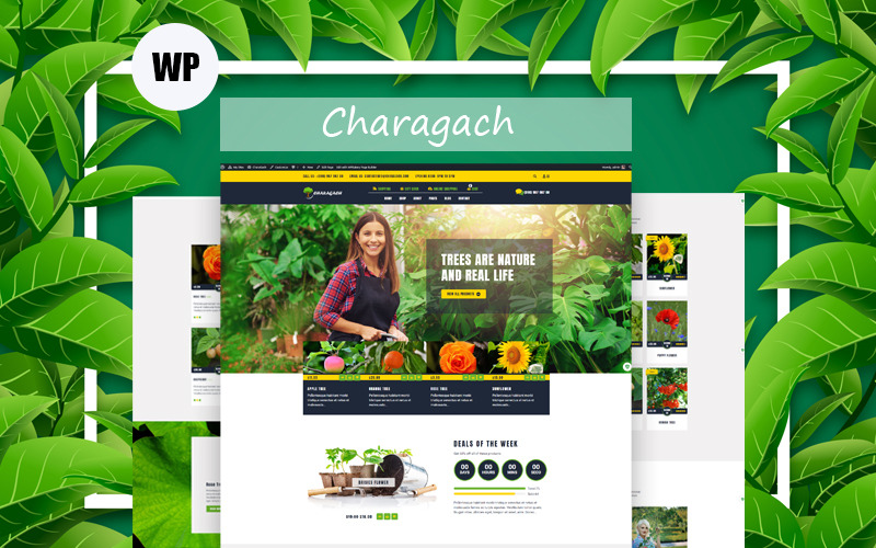 CharaGach - WooCommerce Duyarlı Tema