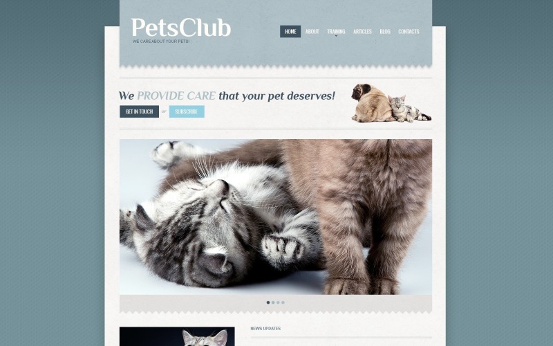 Безкоштовний шаблон WordPress для Інтернет -бізнесу Тварини та Домашні тварини