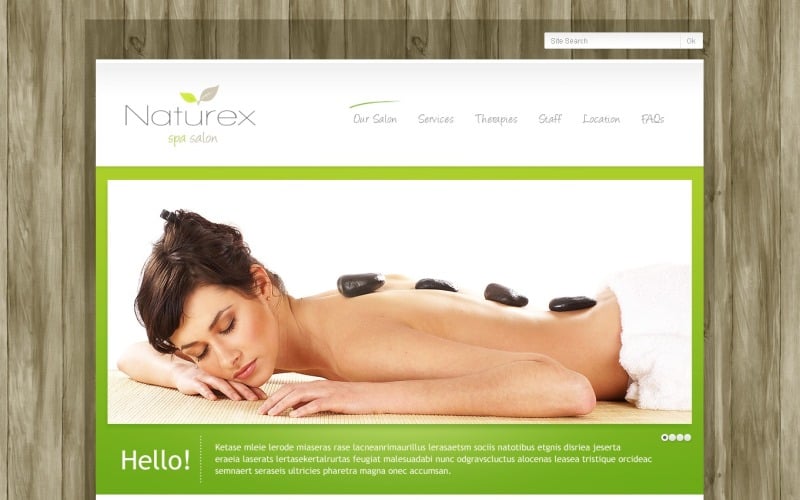 Solución gratuita de WordPress para empresas de salas de exposición de belleza