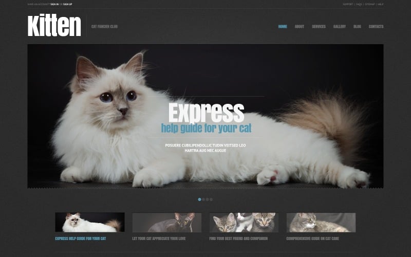 Бесплатная адаптивная тема WordPress для кошек
