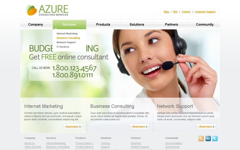 Free Online Consulting WordPress Website Template