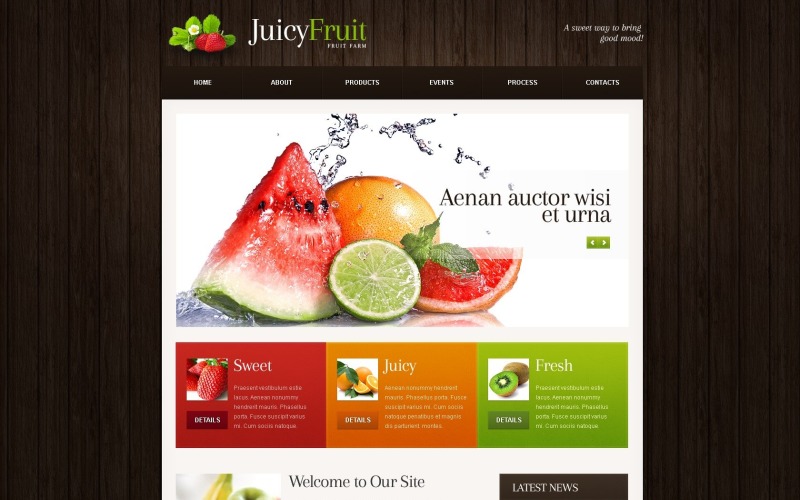 Darmowy układ WordPress z owocami i szablon strony internetowej