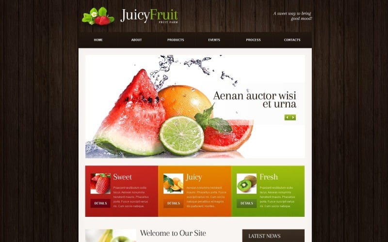 Kostenlose Fruit WordPress-Layout- und Website-Vorlage