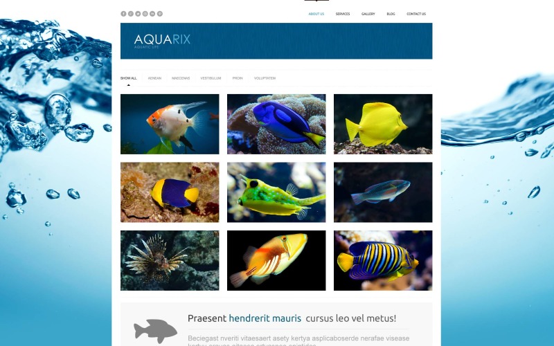 Layout del sito Web WordPress reattivo ai pesci gratis