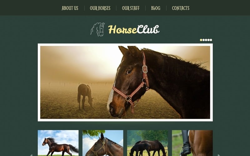 Gratis thema en sjabloon voor WordPress-website voor paarden