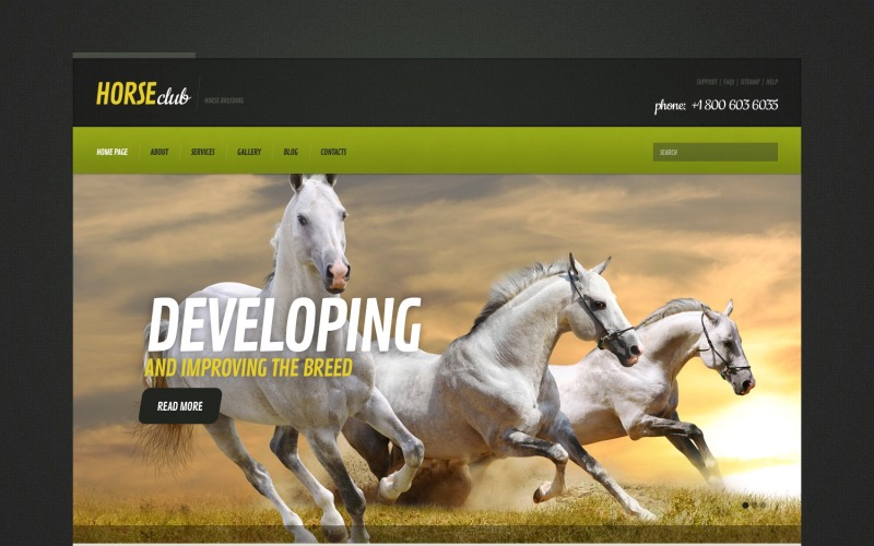 Ingyenes lóra reagáló WordPress webhelysablon