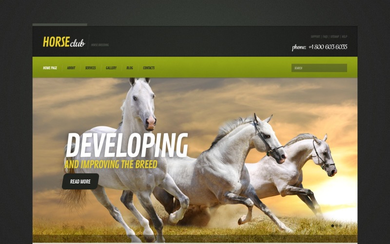 Modelo de site WordPress gratuito para cavalo responsivo
