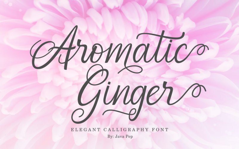 Gengibre aromático // Fonte de caligrafia