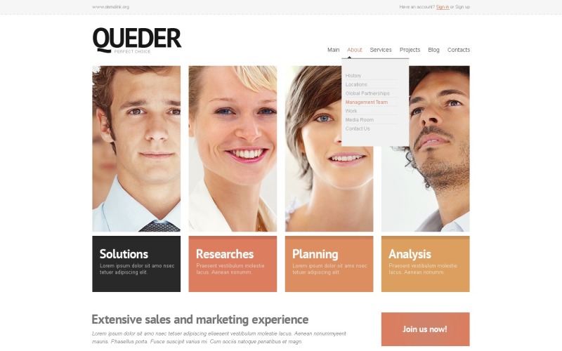 Ingyenes Light Consulting WordPress téma