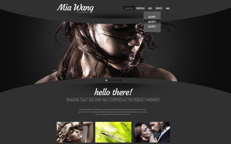 免费摄影师组合 WordPress 主题 - Mia Wang