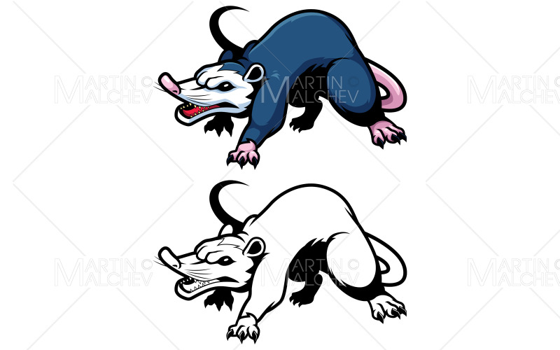 Possum sur blanc Vector Illustration