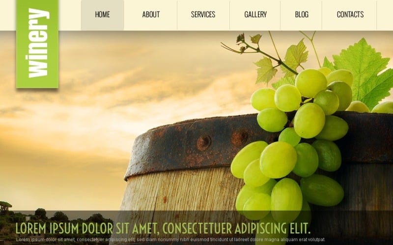 Free Bright Winery WordPress Theme