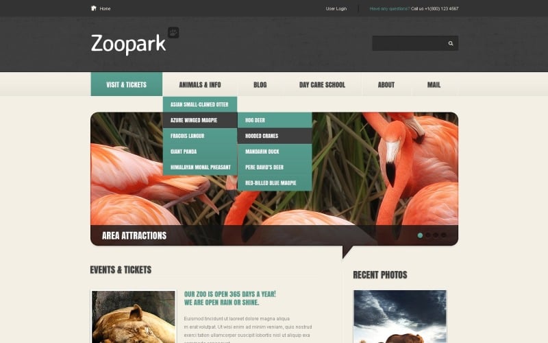 Free Modern Zoo WordPress Theme