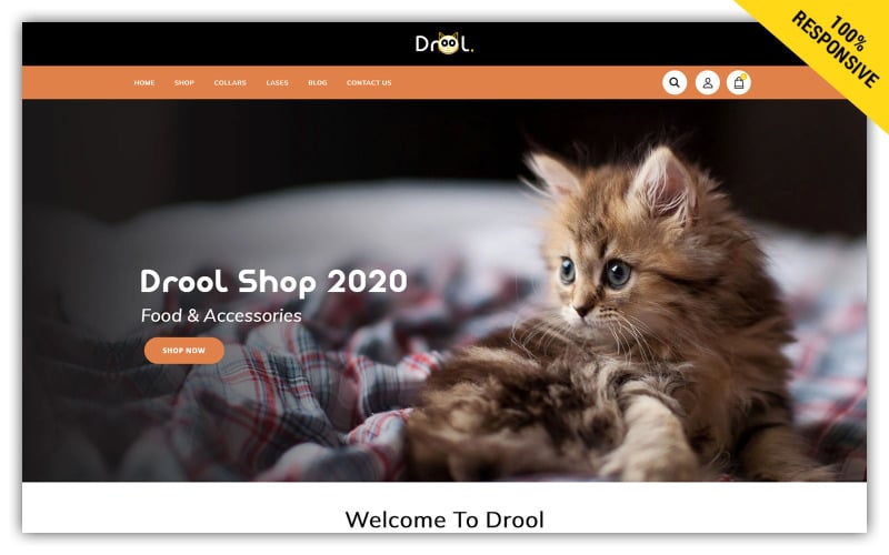 Drool Store Shopify -tema