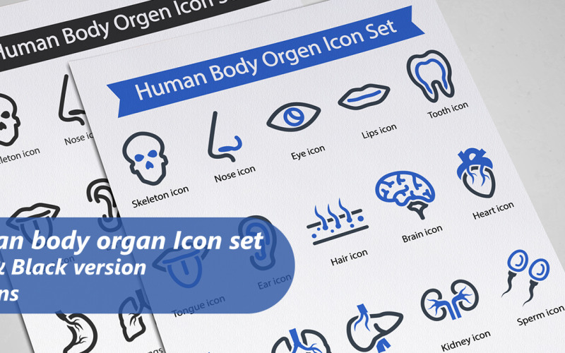 Set di icone di organi del corpo umano