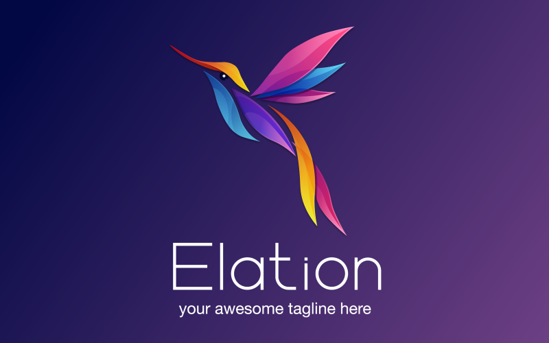Elation - барвистий градієнтний колібрі логотип шаблон