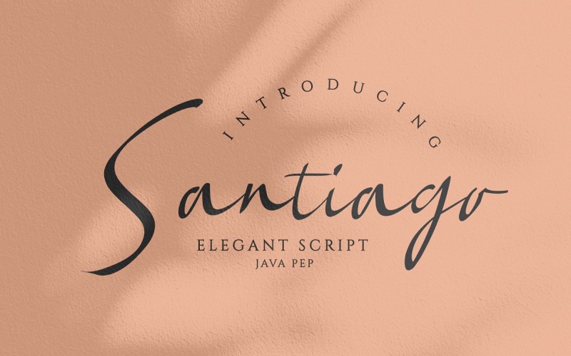 Santiago // Elegant lettertype