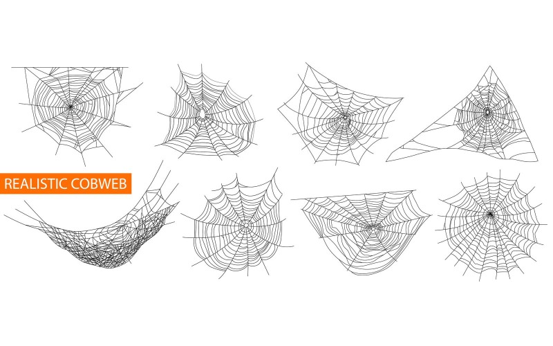 Realistisches Spinnennetz-Vektor-Illustrations-Konzept