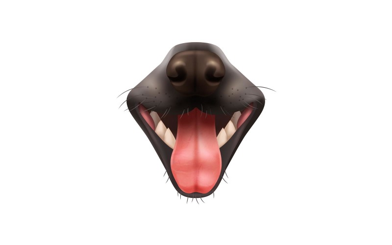 Realistisk hund öppen mun vektor illustration koncept